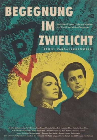 Meetings In The Dark poster