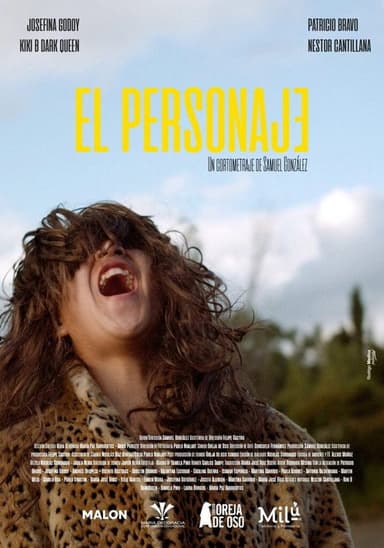 The Character poster