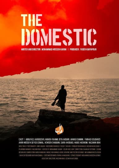 The Domestic poster