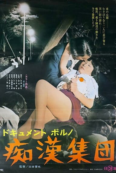 Dokyumento-poruno: chikan shūdan poster