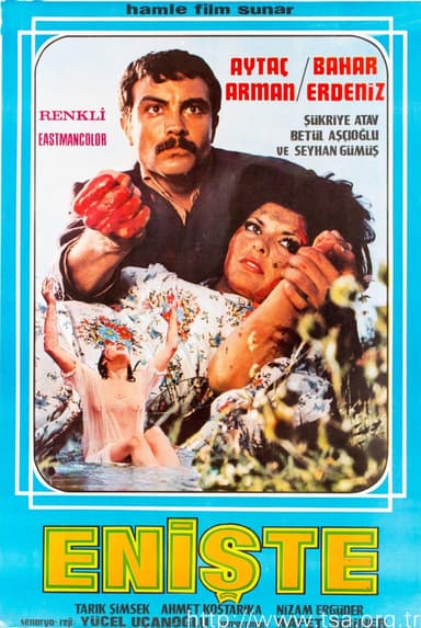 Enişte poster