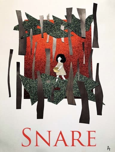 Snare poster