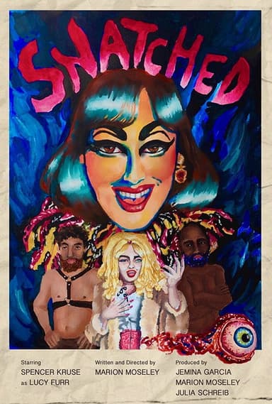 Snatched poster