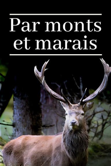 Sanfte Berge - Wilde Moore poster