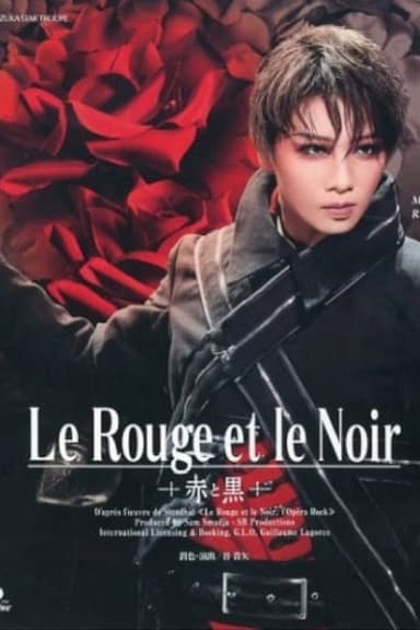 The Red and the Black poster