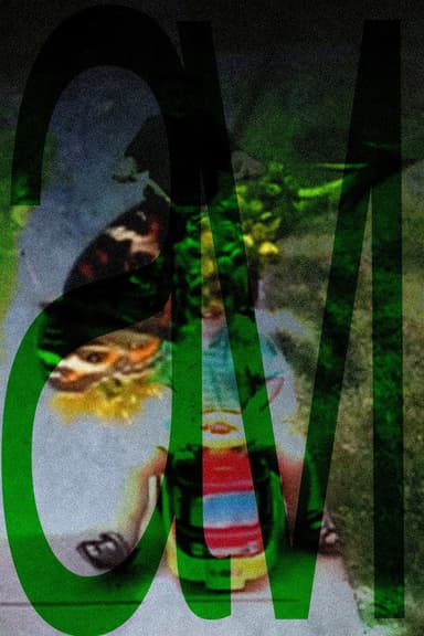 avi poster