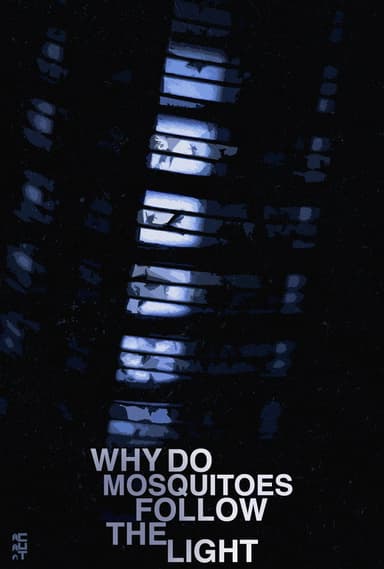 Why Do Mosquitoes Follow The Light? poster