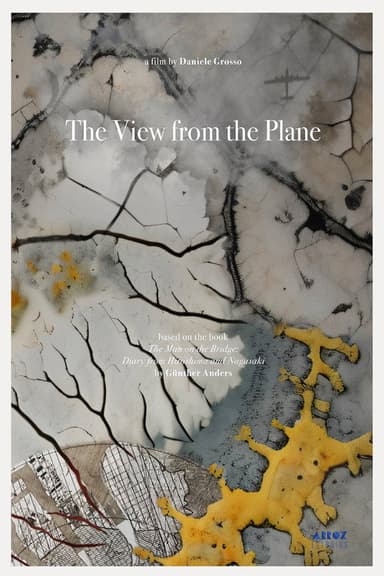 The View from the Plane poster