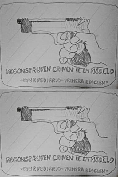 Reconstruyen crimen de la modelo poster