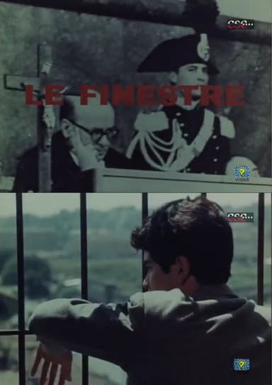 Le finestre poster
