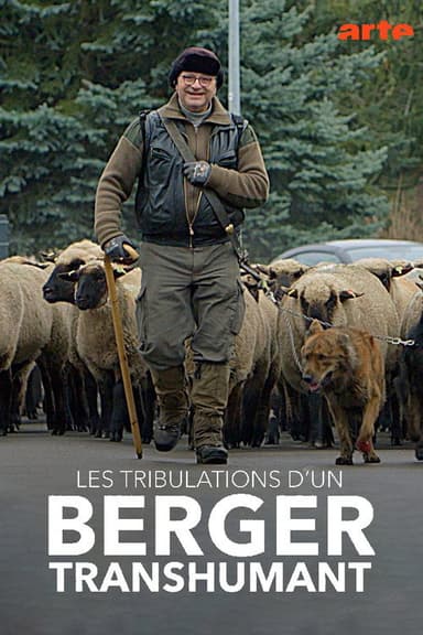Les tribulations d'un berger transhumant poster