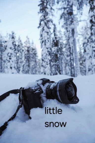 little snow poster
