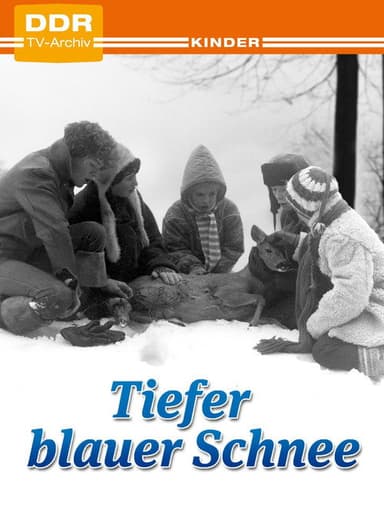 Deep Blue Snow poster
