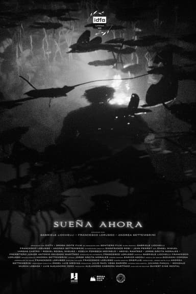Blackout Dreams poster