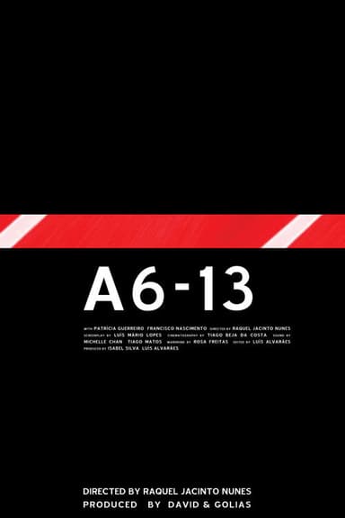 A6-13 poster