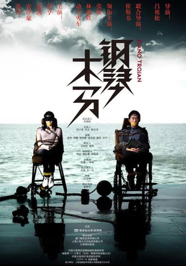 钢琴木马 poster