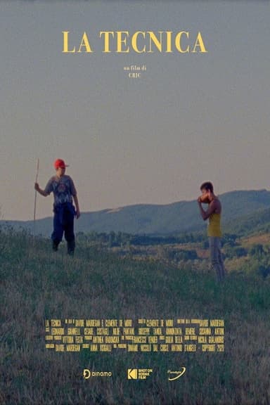 The Technique poster