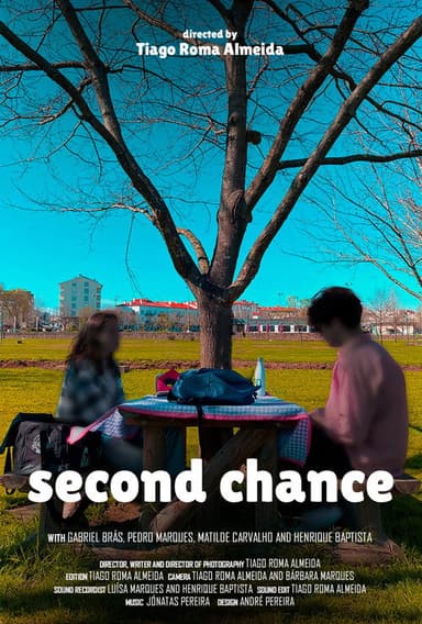 Second Chance poster