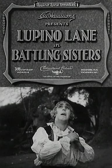 Battling Sisters poster