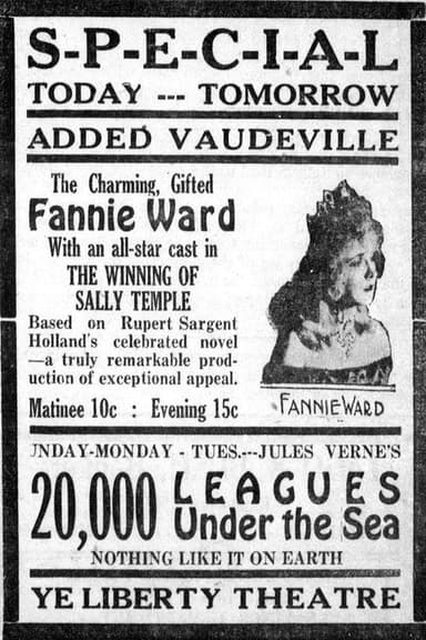 The Winning of Sally Temple poster