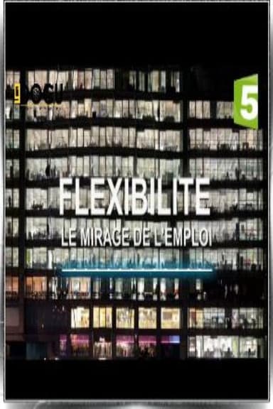 Flexibilité, le mirage de l'emploi poster