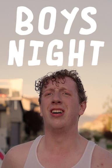 Boys Night poster