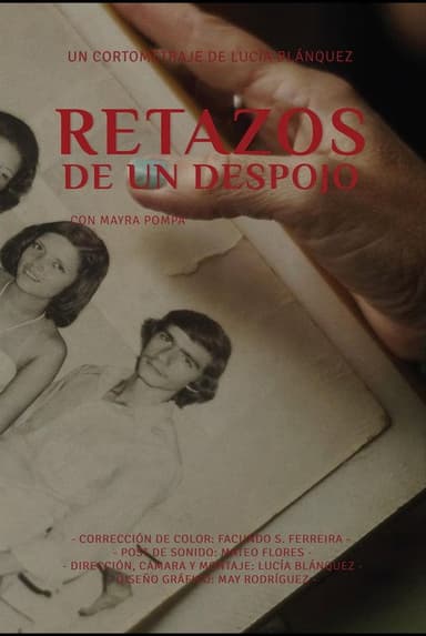 Retazos de un despojo poster