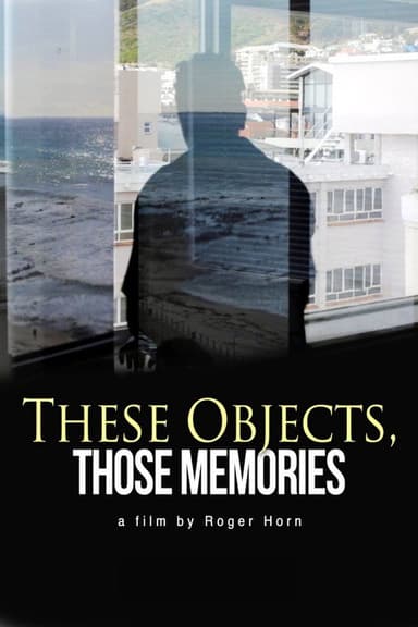 These Objects, Those Memories poster