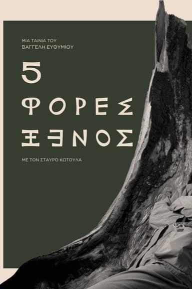 Five Times a Stranger poster
