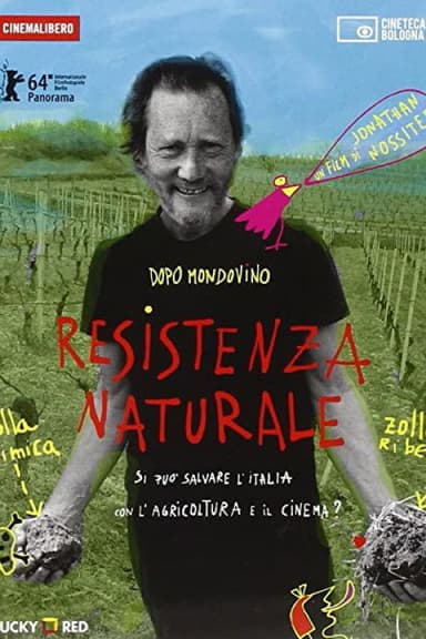 Desistenza a Milano poster