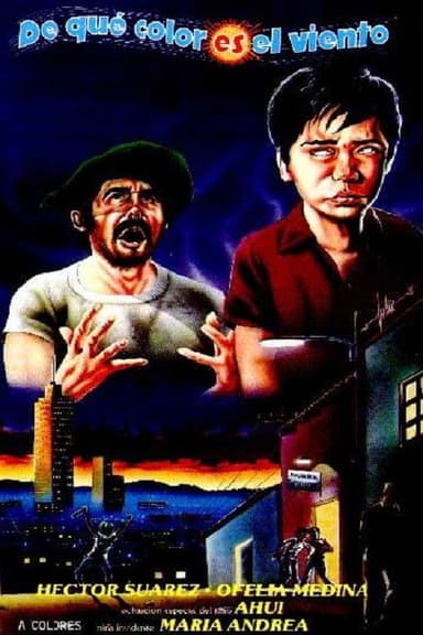 What Color is the Wind? poster