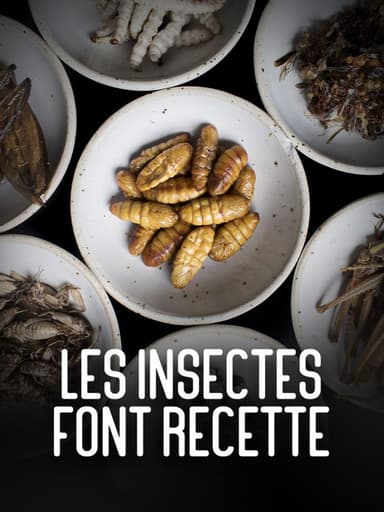 Les insectes font recette poster
