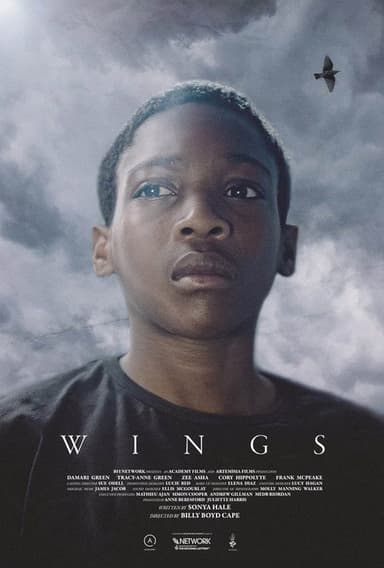 Wings poster