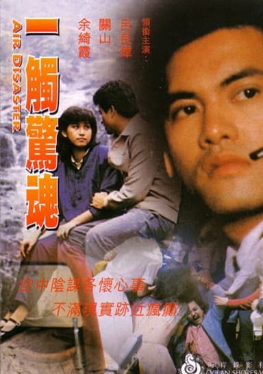 Air Disaster poster
