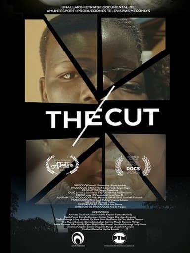 The Cut poster