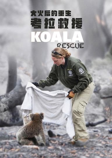 Koala Rescue poster