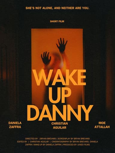 Wake Up Danny poster