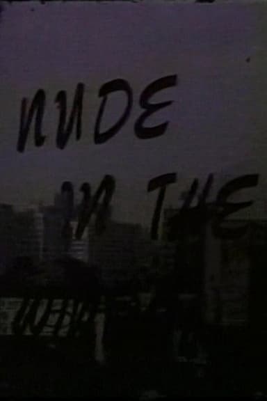 Nude in the Window poster