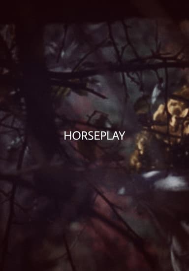 Horseplay poster