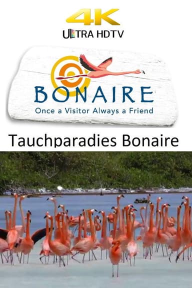 Tauchparadies Bonaire poster