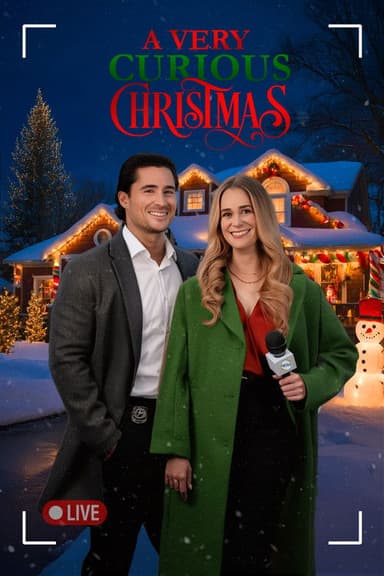 Merry Mystery Christmas poster