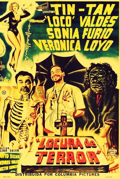 Madness from Terror poster