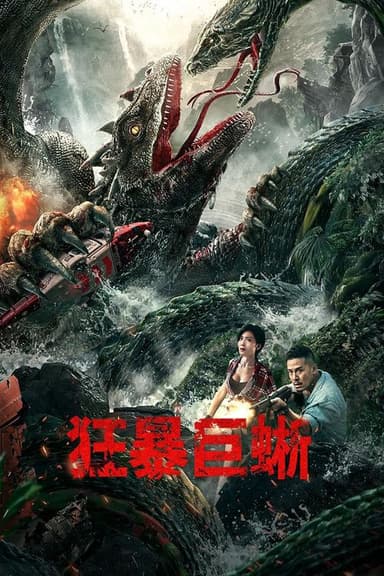 Crazy Lizard poster