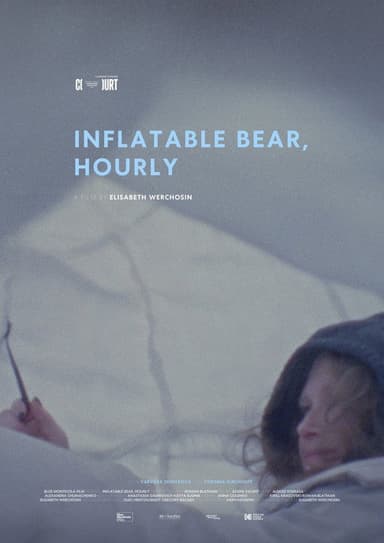 Inflatable Bear, Hourly poster