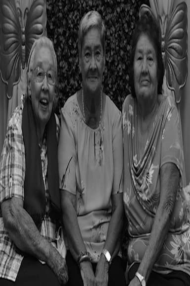 Three Parallel Reflections on the Past poster