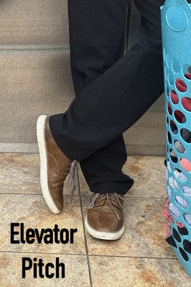 Elevator Pitch poster