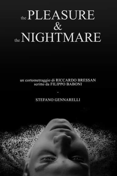 The pleasure & the nightmare poster
