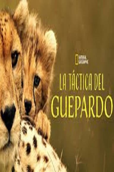 La táctica del guepardo poster