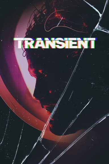 Transient poster