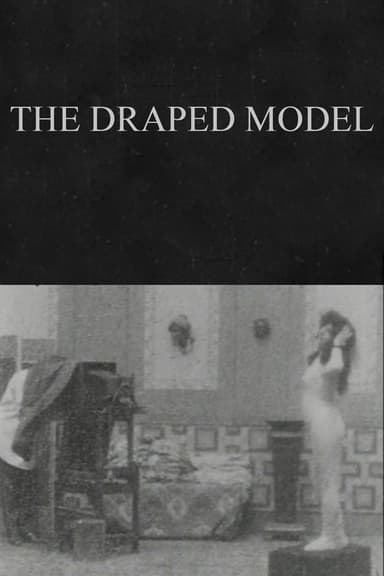 The Draped Model poster
